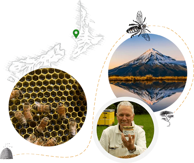 Welcome to Our Store